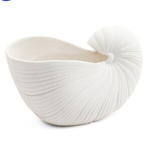 SAGEBROOK HOME 10in Nautilus Shell Indoor Planter Modern Contemporary Plant Pot